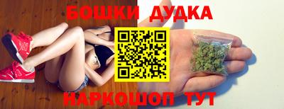 apvp Кингисепп