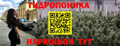 apvp Кингисепп