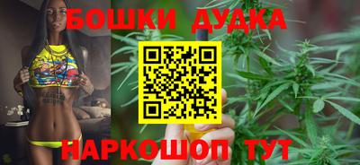 apvp Кингисепп