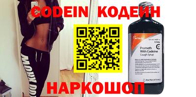 apvp Кингисепп