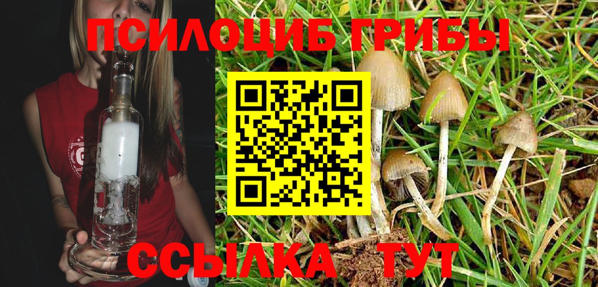 Каспийск  Псилоцибиновые грибы Magic Shrooms  Вход с VPN 